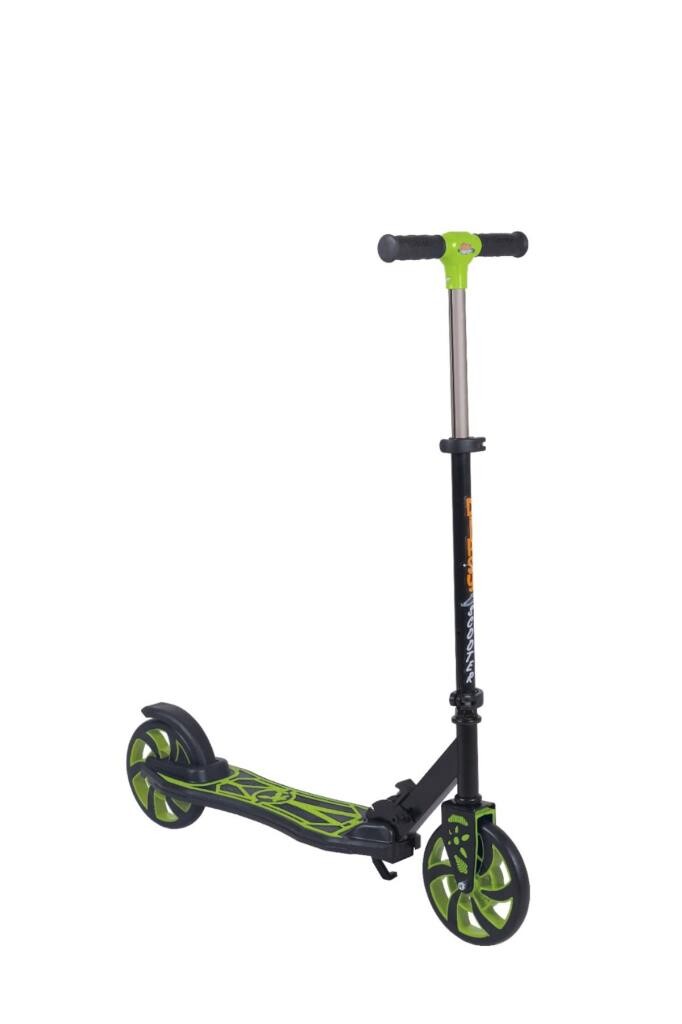 ÇEKİRDEK ZEKA DİPSY SCOOTER YEŞİL - 1